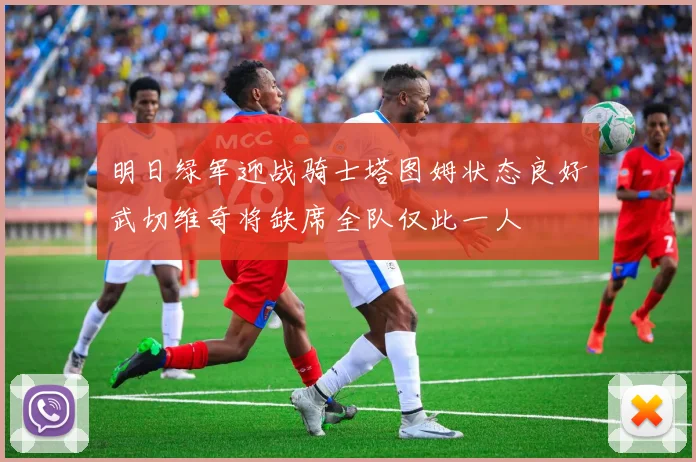 明日绿军迎战骑士塔图姆状态良好武切维奇将缺席全队仅此一人