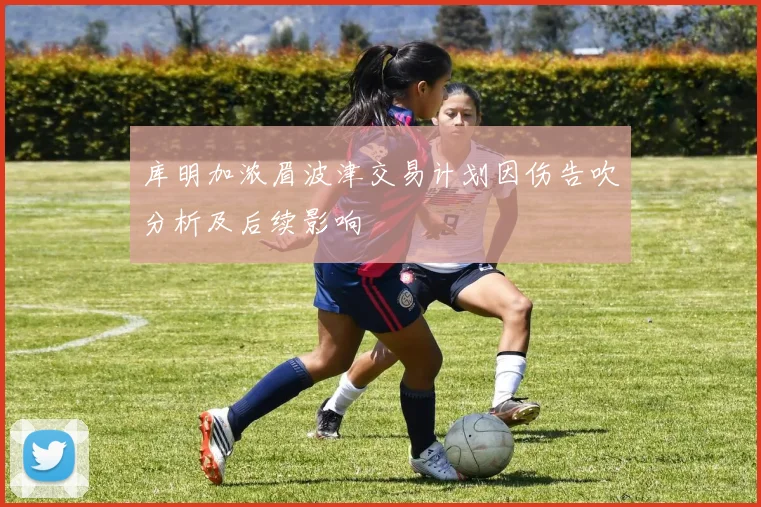 库明加浓眉波津交易计划因伤告吹分析及后续影响
